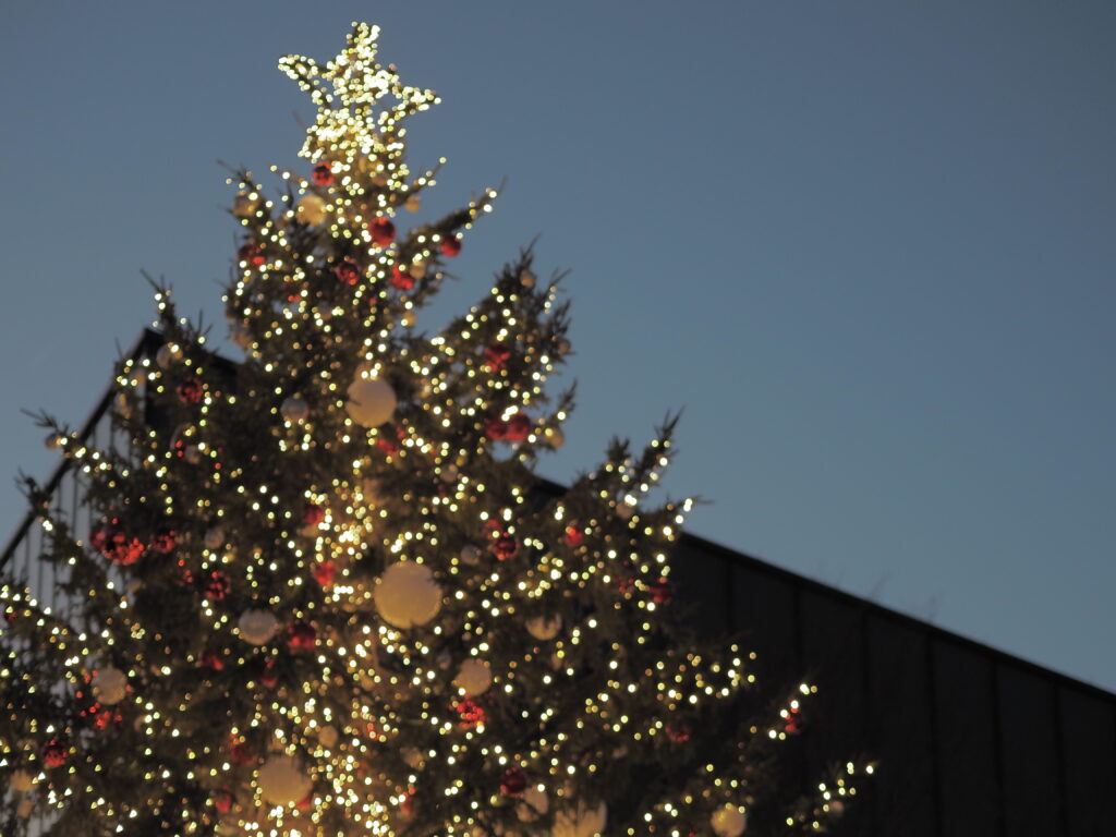 グリーンスプリングスのクリスマスツリー